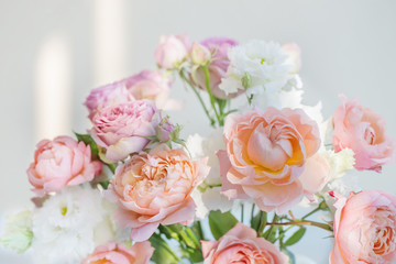 beautiful roses on white background