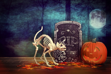 scary halloween skeleton cat with tombstone