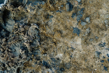 close up of high resolution texture of crystallized salt in a lake. space landscapes. Beatiful colors of nature. Travel photo background. Dried sea salt in the ground