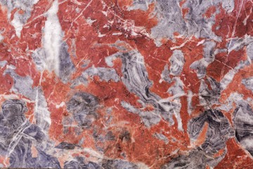 Surface of a red and grey limestone of Devonian age