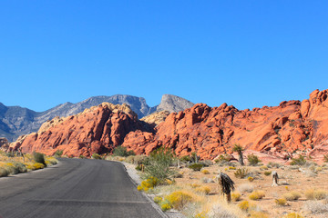 Road leading into Red Rock Canyon, Nevada, USA