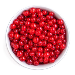 Red currant berries in a bowl  isolated on white background. Heap of Fresh Currant. Harvesting, Food concept. Top view.