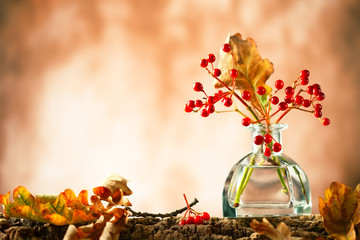 Beautiful autumn red berries and oak leaves in glass bottle on wood  at bokeh background, front view. Autumn still life with berries and leaves.
