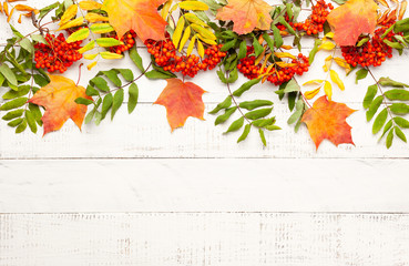 Autumn concept wth leaves and  rowan berries on a white rustic background. Festive autumn decor, flat lay with copy space.