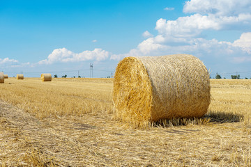 Straw bales of wheat. Straw bales in the beatiful field. haystacks lying on the field. farmland. Farmer concept. Beatiful landscape photo. bales after harvest on the field. summer day