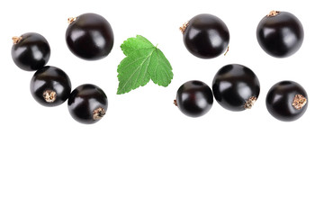 black currant with leaf isolated on white background. Top view. Flat lay pattern. With space for your text