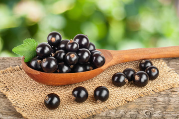 Black currants in a spoon on the wooden table with sackcloth and blurred green background