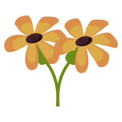 floral spring beautiful flower cartoon