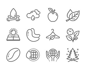 Obraz premium Set of Nature icons, such as Christmas tree, Apple, Cashew nut, Organic tested, Sun energy, Coffee beans, Leaves, World water, Water splash, Leaf, Rainy weather, Slow fashion line icons. Vector