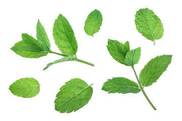 Fotobehang fresh green mint leaves isolated on white background, top view. Flat lay © kolesnikovserg