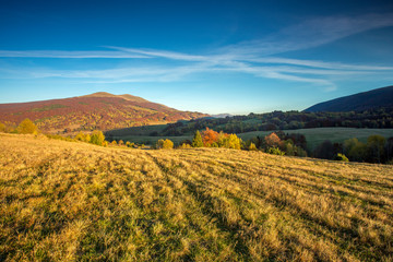 Fototapeta premium Bieszczady