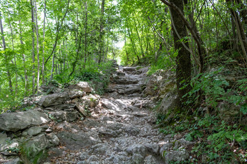 path