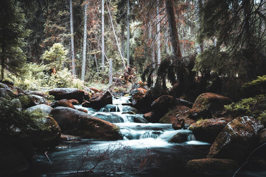 Mountain autumn stream in the morning in Jizera mountain, Czech republic
