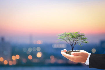 Sustainable Development Goals (SDGs) concept: Businessman hands holding big tree over blurred city...
