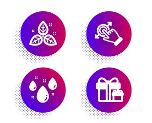 Rainy weather, Fair trade and Touchscreen gesture icons simple set. Halftone dots button. Surprise package sign. Water drop, Leaf, Drag drop. Present boxes. Business set. Vector