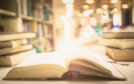 Freedom Concept: Old Books With Birds Flying In Blurred The Library