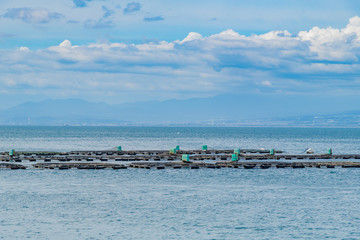 静岡県沼津市内浦湾の海