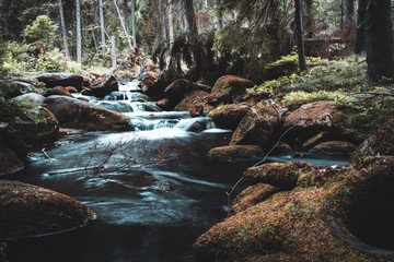 Naklejka na ściany i meble Mountain autumn stream in the morning in Jizera mountain, Czech republic