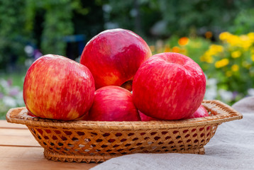 Red apples in a wicker basket in the garden.