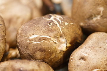 Shitake mushroom. Raw and dried shitake mushroom. food ingredient