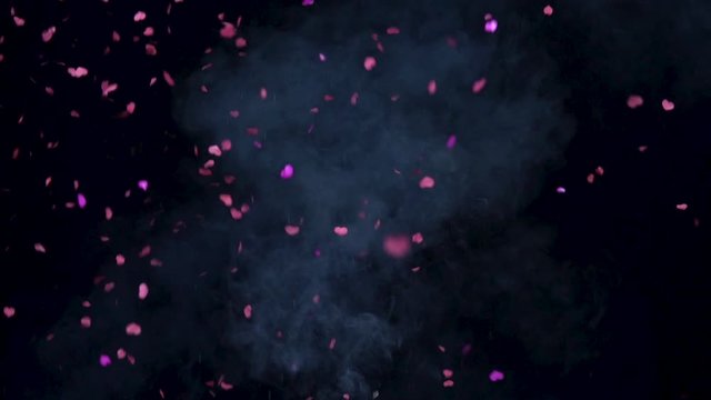 Confetti firework really shots on a black background. Slow motion