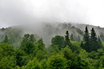 fog over the mountain