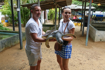 Young couple holding a big turtle in their hands. Turtle Rescue Center. Turtle farm in Sri Lanka