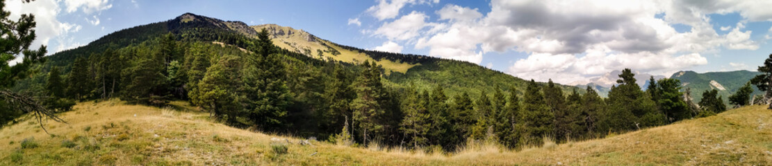 Montagne, Montagne Durbonas, Forêt de Durbon, Durbon, Durbonas, Hautes-Alpes, Provence-Alpes-Côte...