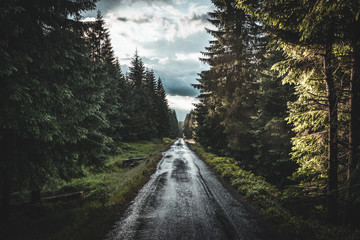 Fototapeta Summer rainy road through forest on Sumava, Czech republic obraz