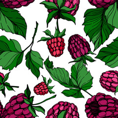 Vector Raspberry healthy food isolated. Black and white engraved ink art. Seamless background pattern.