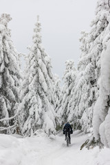 man on mountain bike follows trail through forest in snow during winter