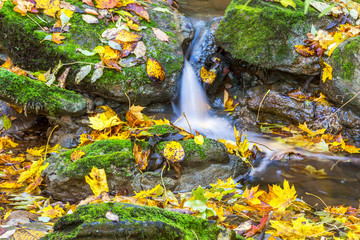 Waterfall in a stream with autumn leaves