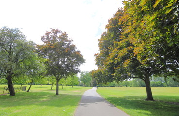 Regent park nature in London UK