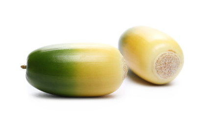 Green acorn isolated on white background