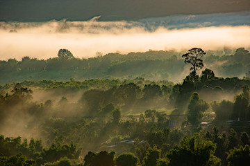 landscape with fog