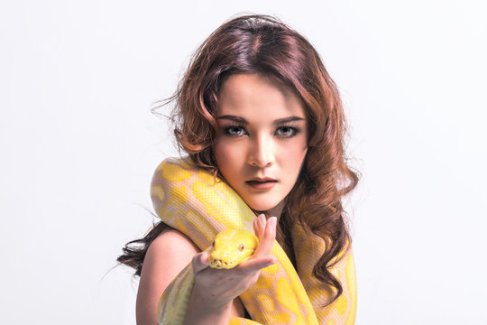 Snake, woman isolated. Asian woman in bikini holding yellow python. Portrait, looking at camera. Strange woman fashion concept.