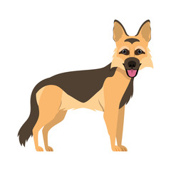 cute pastor aleman dog on white background