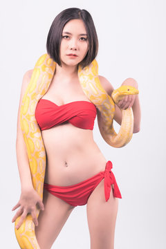 Snake, woman isolated. Asian woman in bikini holding yellow python. Confident look. Strange woman fashion concept.