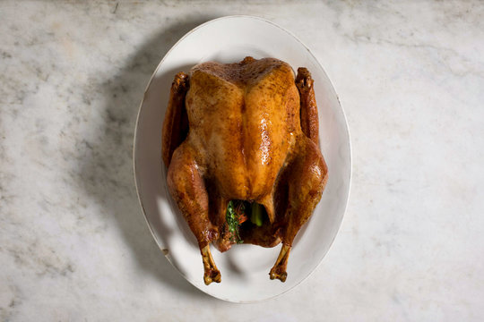 Overhead view of turkey served on plate - Powered by Adobe