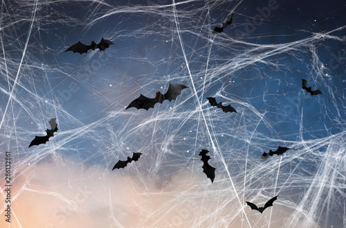 halloween, decoration and scary concept - black bats flying over starry night sky and spiderweb background