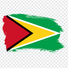 Flag Guyana from brush strokes. Flag Guyana on transparent background for your web site design, logo, app, UI. Stock vector.  EPS10.