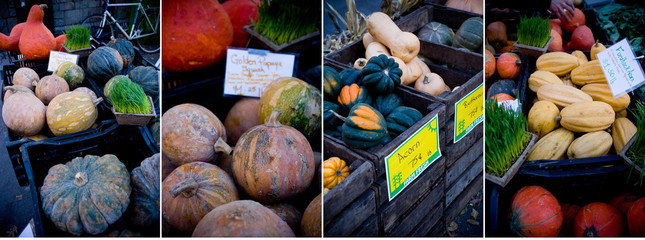 Variety of squash in Union Square Farmer's Market