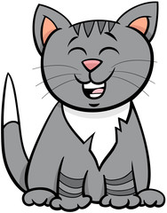 kitten or cat cartoon animal character