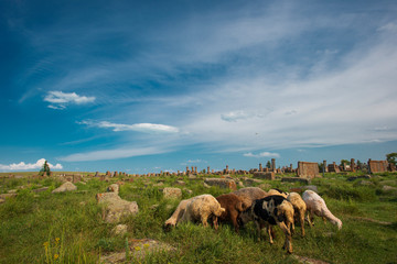 the ancient cemetery in noratus, armenia