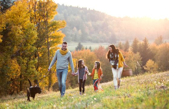 A young family with two small children and a dog on a walk in autumn nature.