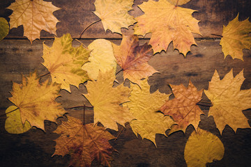 Autumn leaves on rustic wooden table. Thanksgiving background. Top view with copy space.