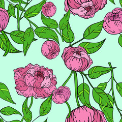 Seamless vector pattern with pion or rose with leaf on blue background. Good for printing. Wallpaper and fabric design. Wrapping paper pattern. Cute pattern idea. Floral pattern.