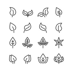 leaf icon line vector illustration