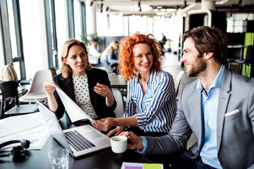 A group of young business people with laptop sitting in an office, talking.