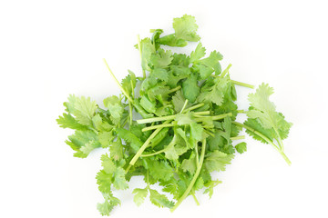 Healthy Food and herbs bunch of coriander leaves vegetable isolated on white background